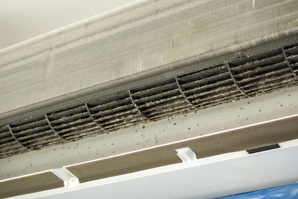 Air Duct Mold Removal in Mount Plymouth, FL